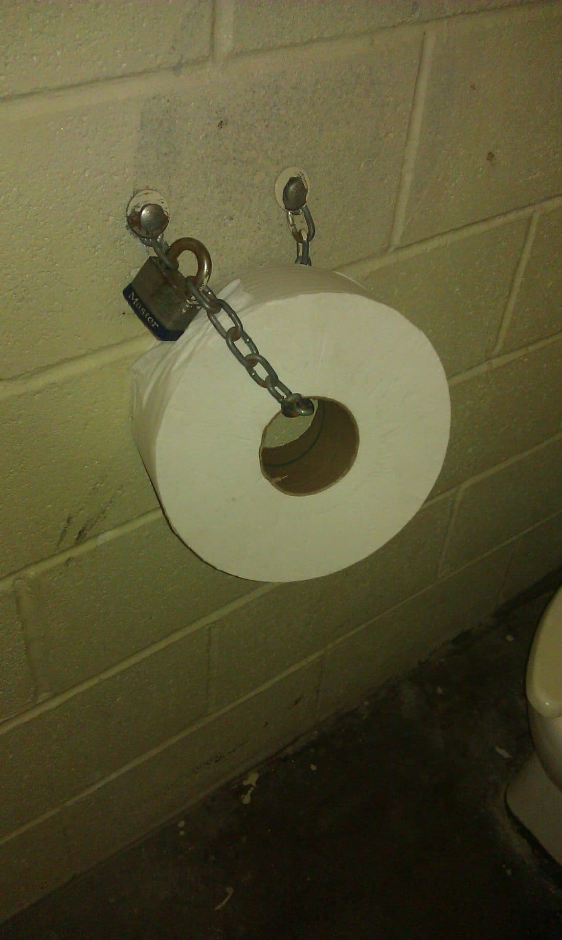 Centennial Park Nashville - Chained toilet paper