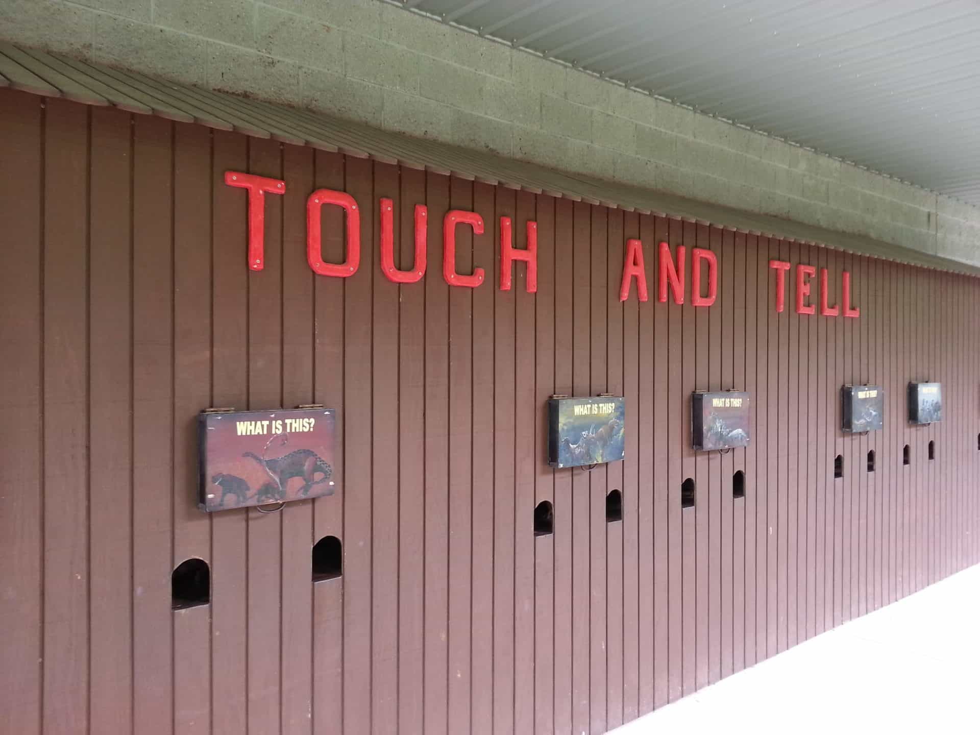 Dinosaur World touch and tell exhibit