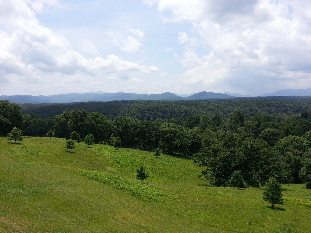 View from the Biltmore's back patio