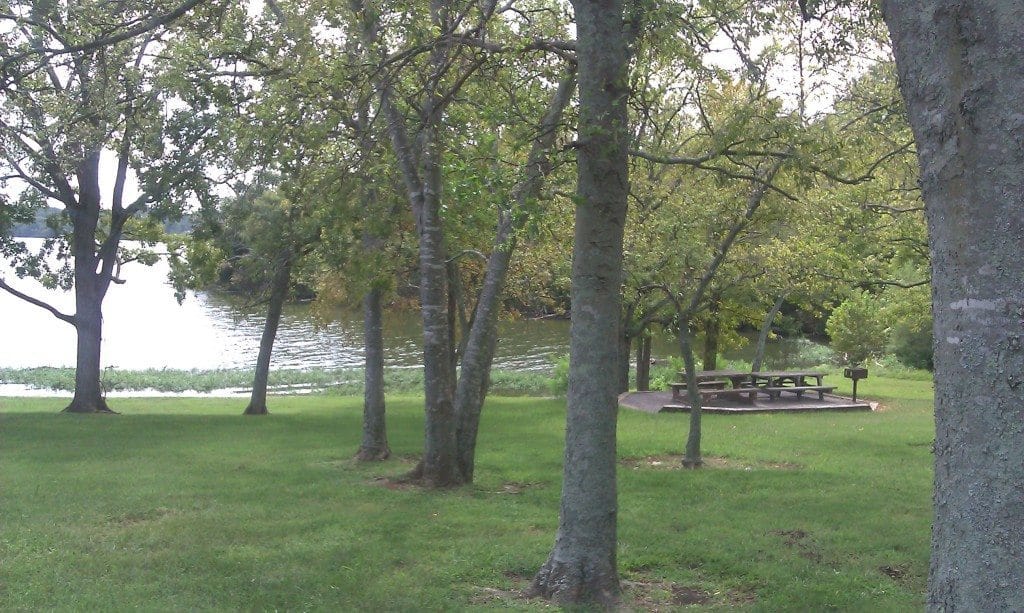 Avondale Recreation Area - trees by the lake