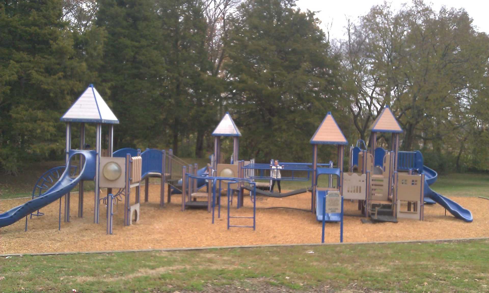 Moss Wright Park playscape