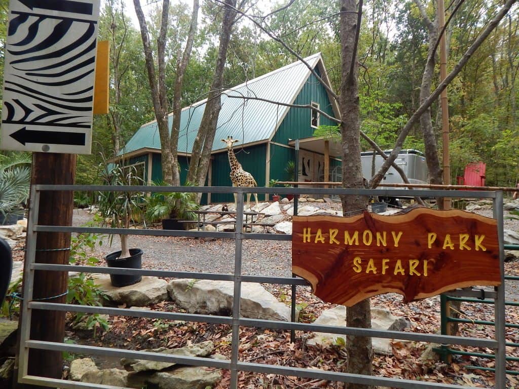 harmony park safari reviews
