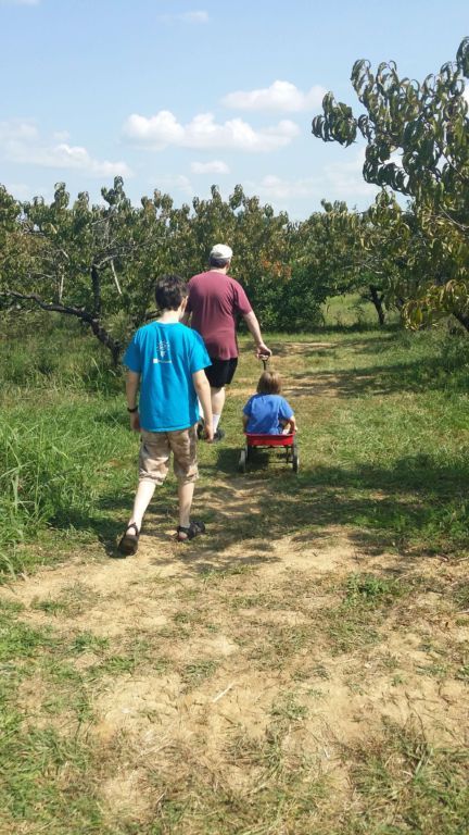 Pratt's Orchard - Headed to pick apples