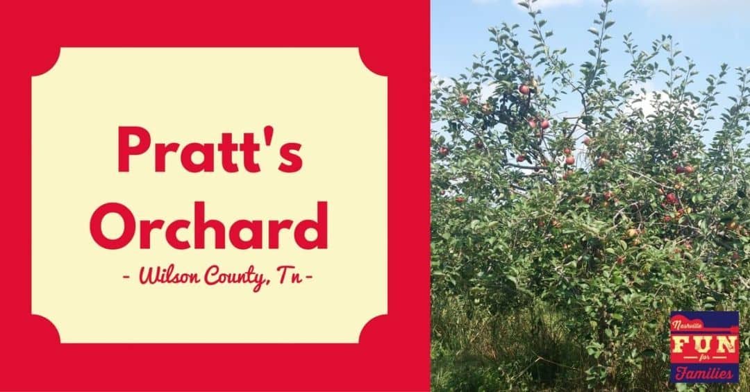 Pratt's Orchard cover