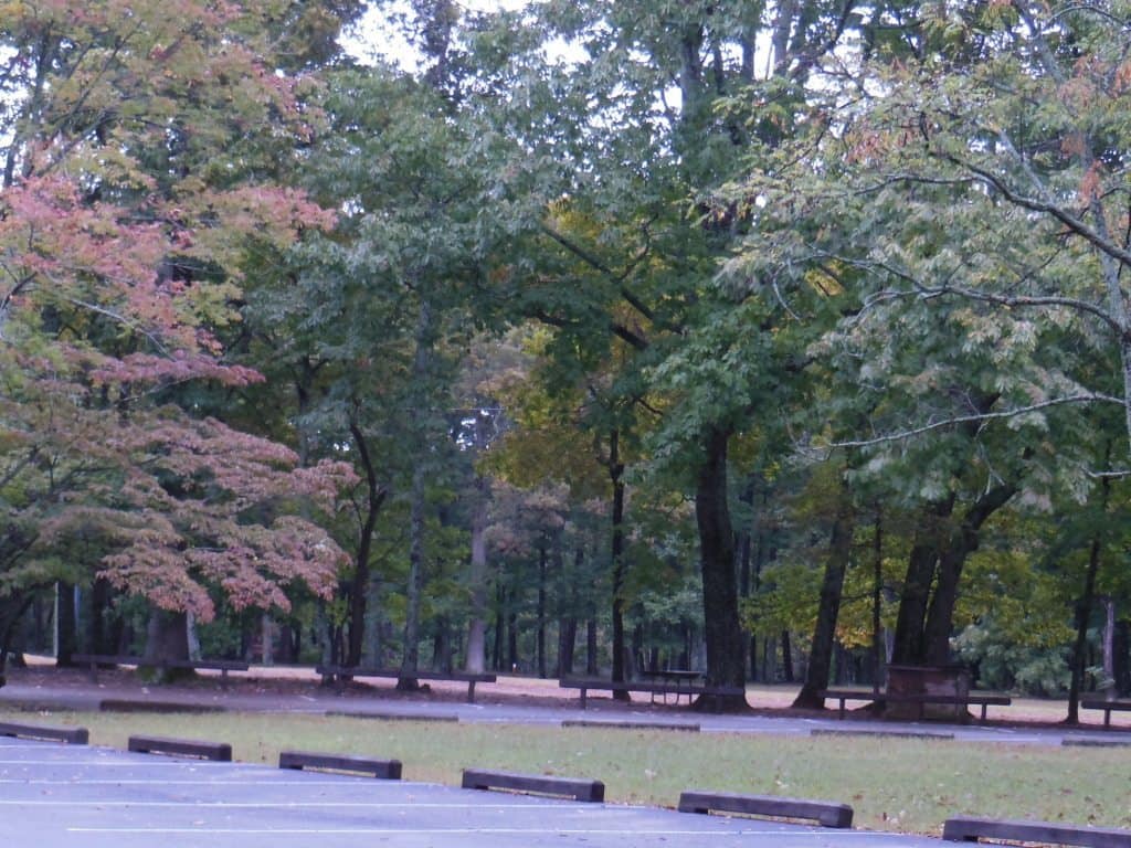 Monte Sano State Park - Trees in the fall