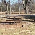 Old Fort Park picnic table