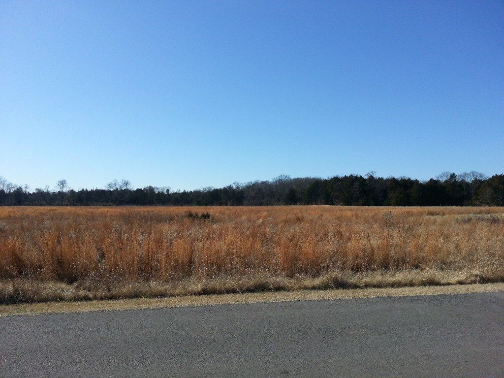 Stones River Battlefield landscape