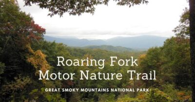 See the Smoky Mountains on the Roaring Fork Motor Nature Trail