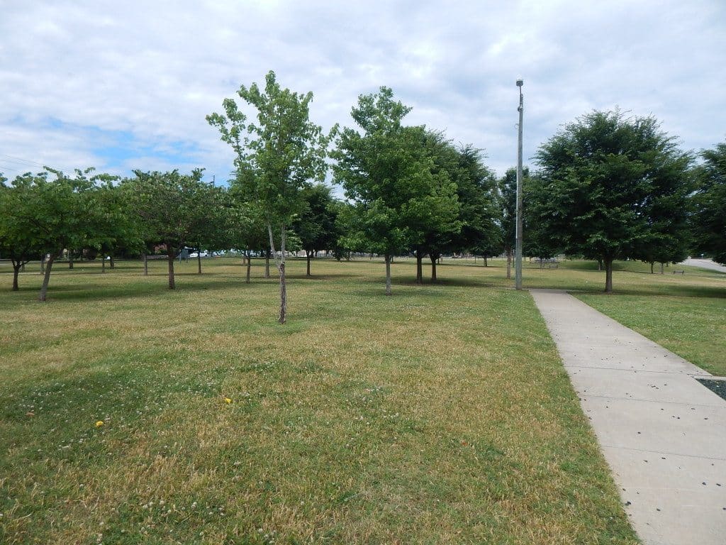 East Park and Recreation Center - grass field