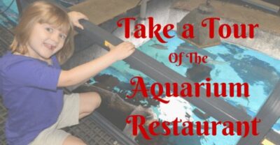 Tour the Aquarium Restaurant