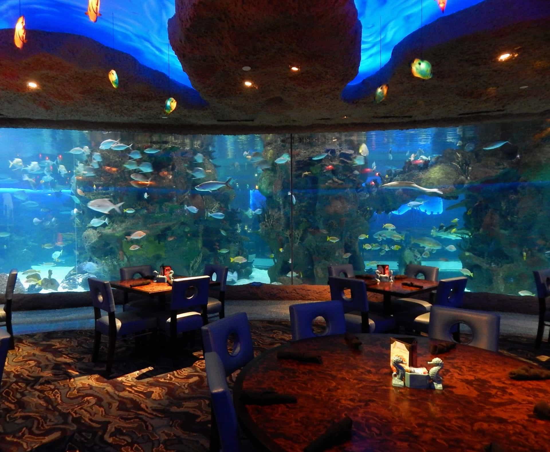 Ресторан аквариум бутово парк