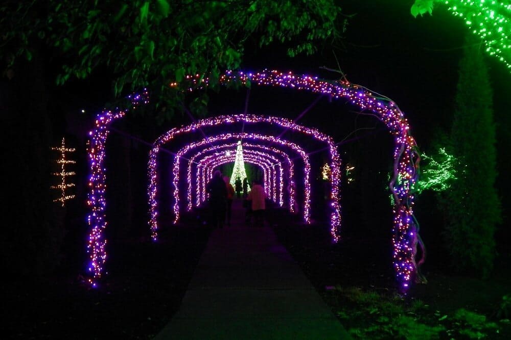 Holiday Lights at Cheekwood Botanical Garden - 2015 - light tunnel