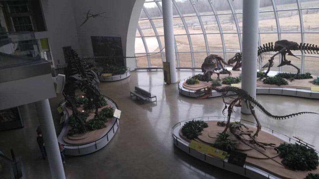 Discovery Park of America - Dinosaur display