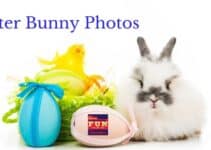 Easter Bunny Pictures in Nashville