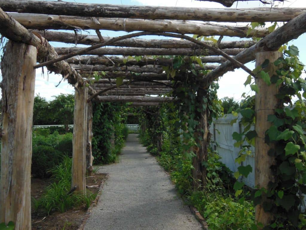 Carnton Plantation garden walkway