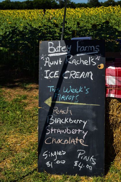 Batey Farm ice cream