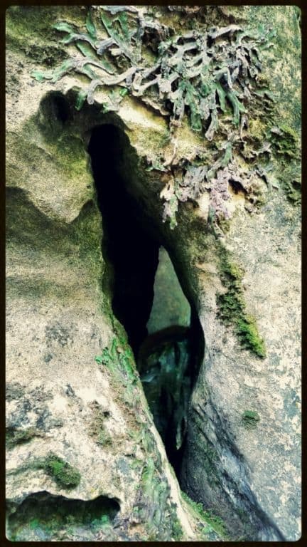 Lost Creek Falls Cave 6