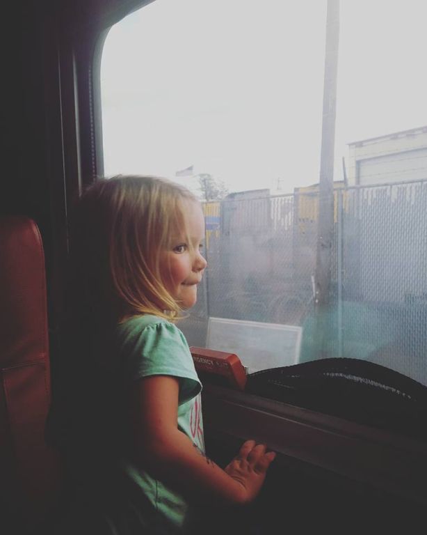 Day out with Thomas - looking out the train window