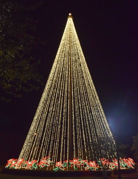 Gaylord Opryland Country Christmas - lighted tree
