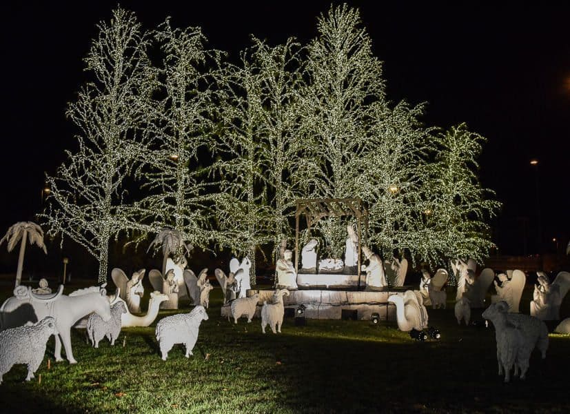 Gaylord Opryland Country Christmas - nativity