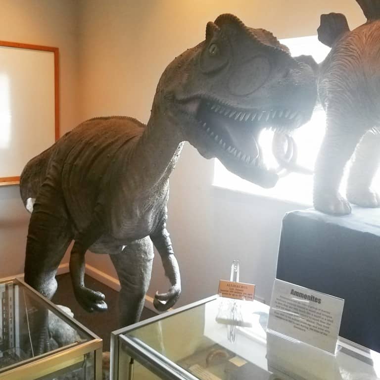 Earth Experience Natural History Museum - Dinosaur Models