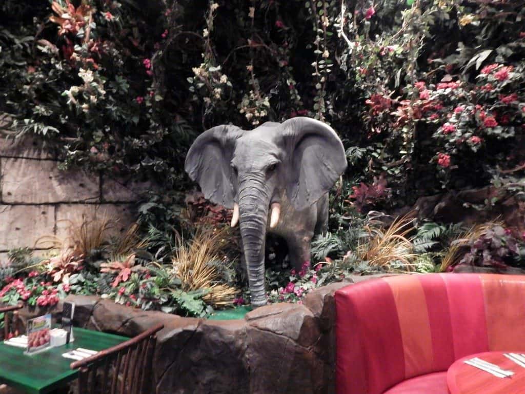 Restaurants in Opry Mills Mall - Rainforest Cafe elephant