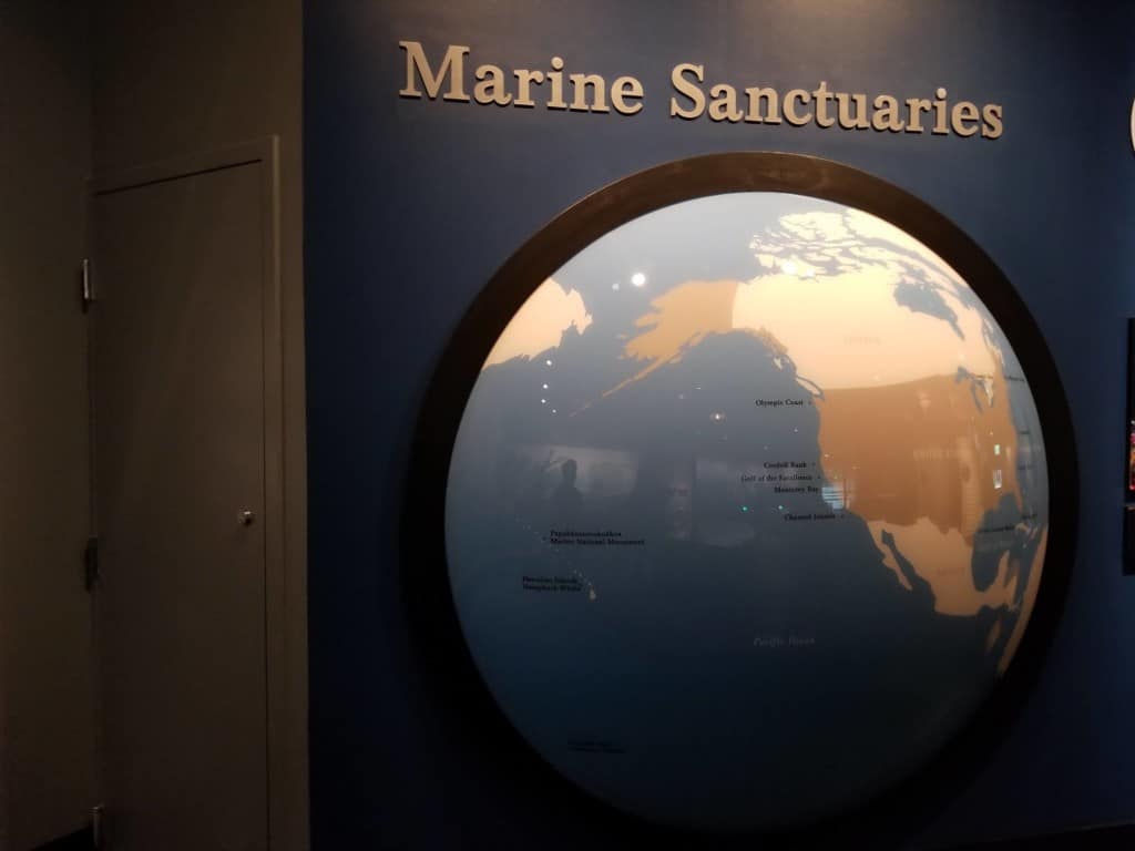 Gulf Quest marine sanctuaries