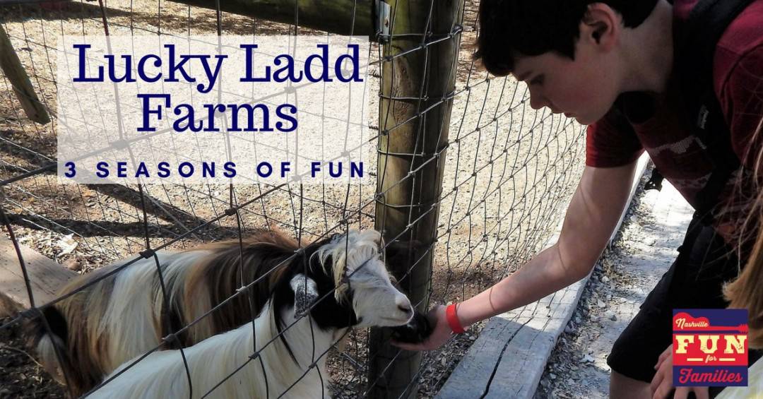 Lucky Ladd Farms - 3 Seasons of Fun - cover image with a boy feeding a goat through a fence