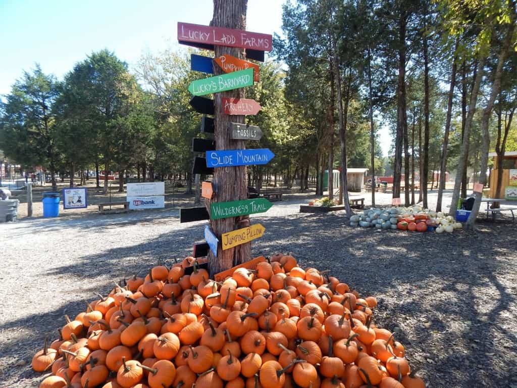 Lucky Ladd Farms - fall activities