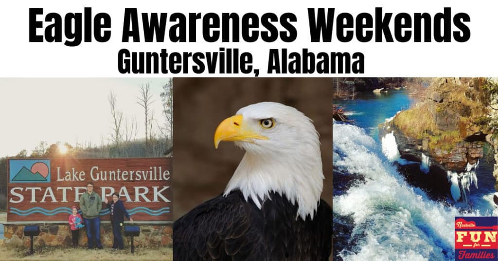 Eagle Awareness Weekend Family Fun in Guntersville, Alabama