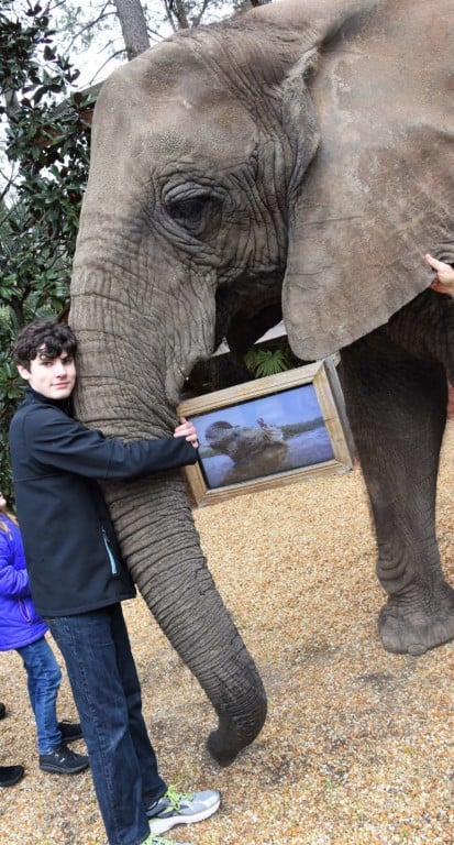My son in a black jacket hugging an elephant's trunk at Myrtle Beach Safari