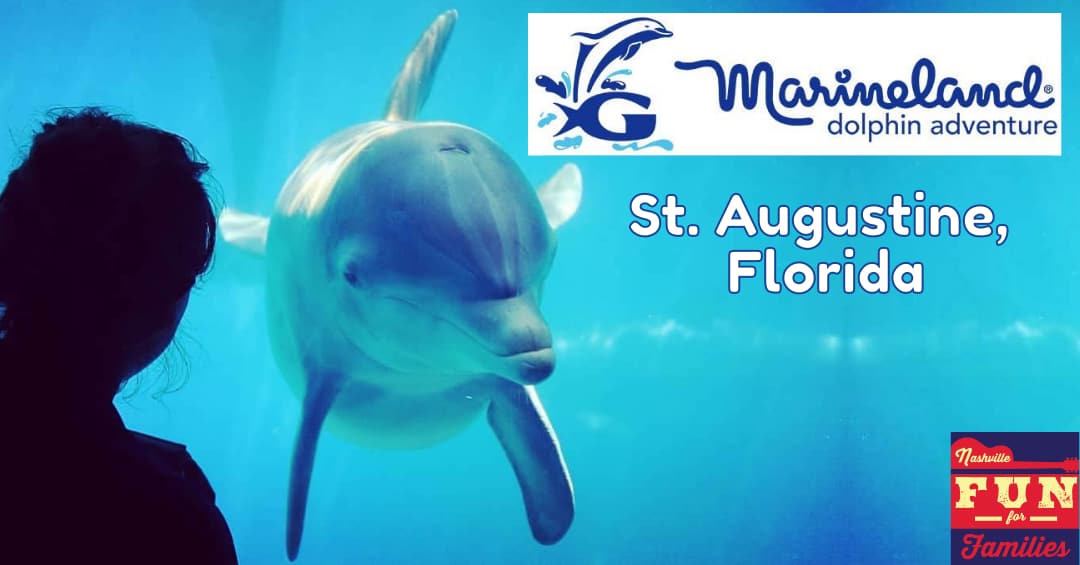 Marineland Dolphin Adventure - cover image