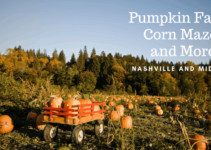 Middle Tennessee Pumpkin Patches, Corn Mazes and More!!!