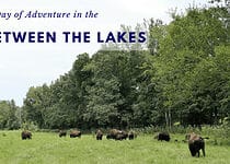 Land Between the Lakes: A Family Day of Adventure