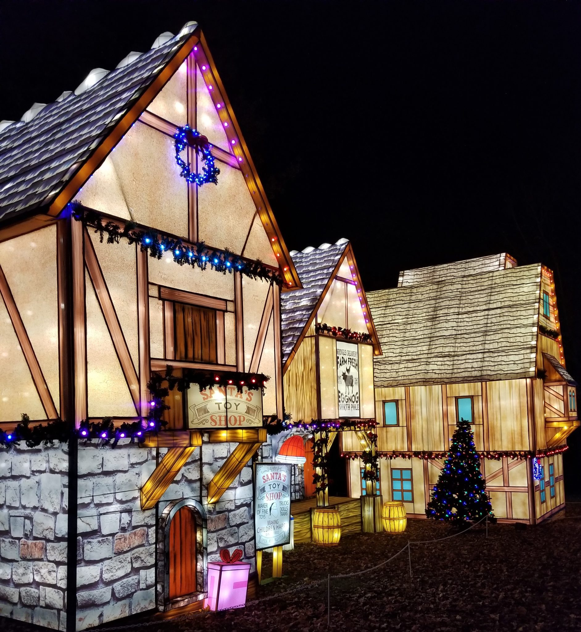 Light Up Your Holiday at Zoolumination • Nashville Fun For Families