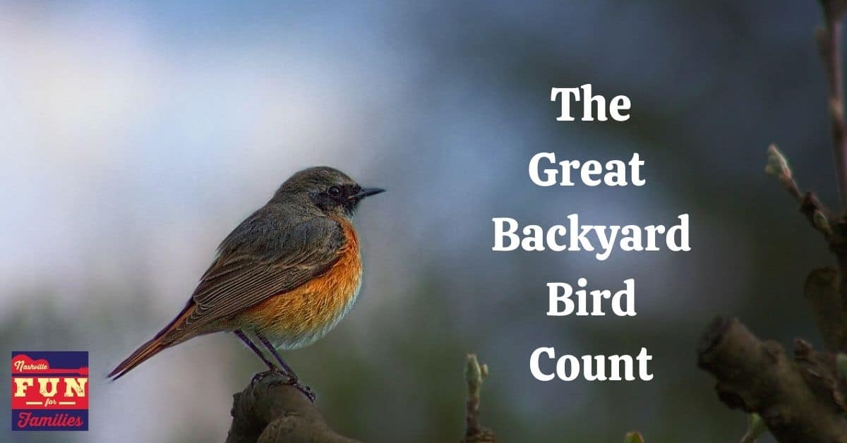 The Great backyard bird count