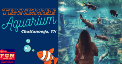 Tennessee State Aquarium