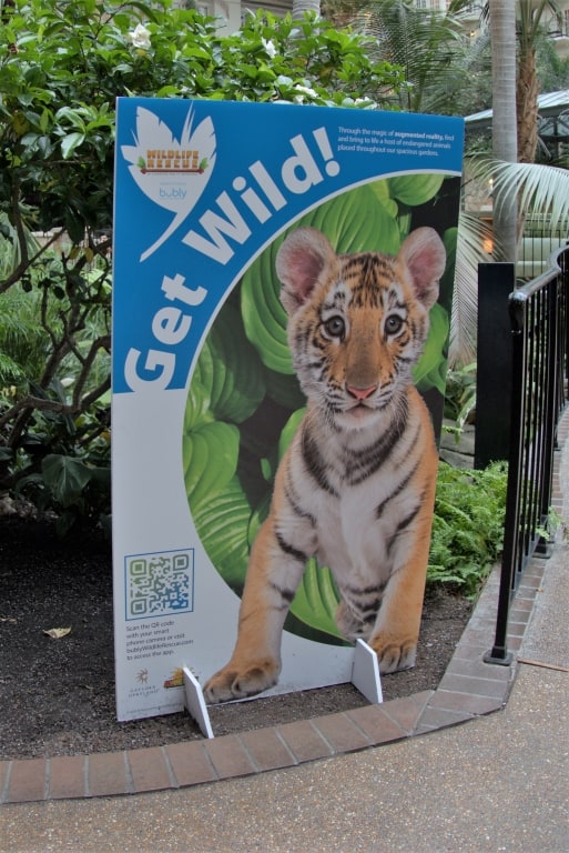 Wildlife Rescue App at Gaylord Opryland